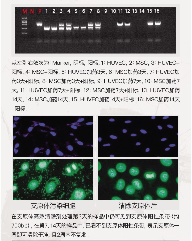 微信图片_20230109131605.png